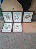 diverse..lijste met fruit afbeeldingen, Huis en Inrichting, Ophalen of Verzenden, Zo goed als nieuw, Hout, Minder dan 50 cm