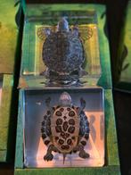 Opgezette schildpadje taxidermie opgezette dieren in hars, Verzamelen, Dierenverzamelingen, Ophalen of Verzenden, Vogel, Opgezet dier