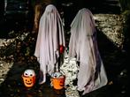 Gezocht Halloween spullen, Hobby en Vrije tijd, Ophalen, Versiering, Halloween of Griezel