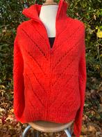 *nieuw* Vest Inti knitwear Delfina maat M, L en XL, Ophalen of Verzenden, Nieuw, Maat 38/40 (M), Oranje