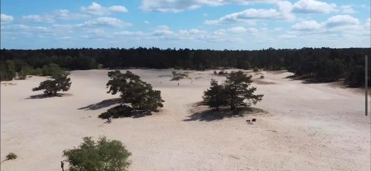 Luxe Chalet met eigen grond in Doornspijk, Huizen en Kamers, Recreatiewoningen te koop, Gelderland, Chalet, Verkoop zonder makelaar