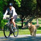 FietsBeugel- Hondenlijn. Gemonteerd aan de Zadelpen, Dieren en Toebehoren, Ophalen of Verzenden, Zo goed als nieuw