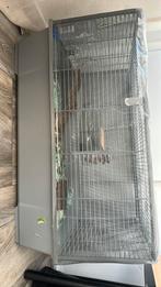 Muizenkooi (word verschoond), Ophalen, Zo goed als nieuw, Vogelkooi