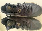 Basketball Shoes (Kyrie 2's), Sport en Fitness, Basketbal, Ophalen of Verzenden, Gebruikt, Schoenen