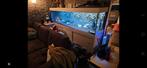 Aquarium met kast 1000L, Ophalen, Gebruikt