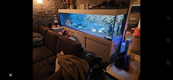 Aquarium met kast 1000L, Dieren en Toebehoren, Vissen | Aquaria en Toebehoren, Gebruikt, Ophalen