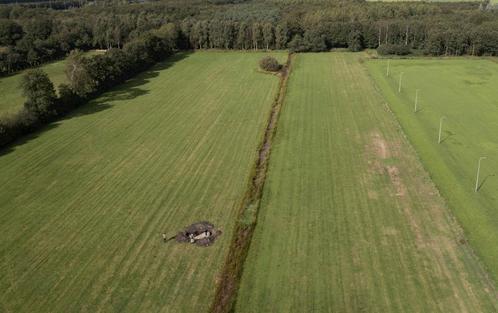 Gezocht: grond of weiland te huur, Dieren en Toebehoren, Stalling en Weidegang