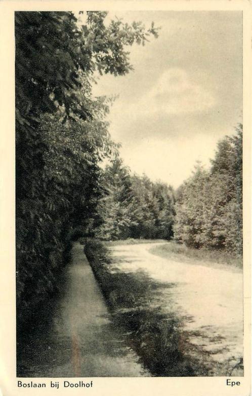(387-087-029) Epe Boslaan bij Doolhof, Verzamelen, Ansichtkaarten | Nederland, Gelderland, Voor 1920, Verzenden