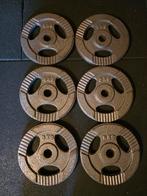 Halterschijven 30mm - 6 stuks, Sport en Fitness, Ophalen of Verzenden, Gebruikt, Benen, Halterschijven