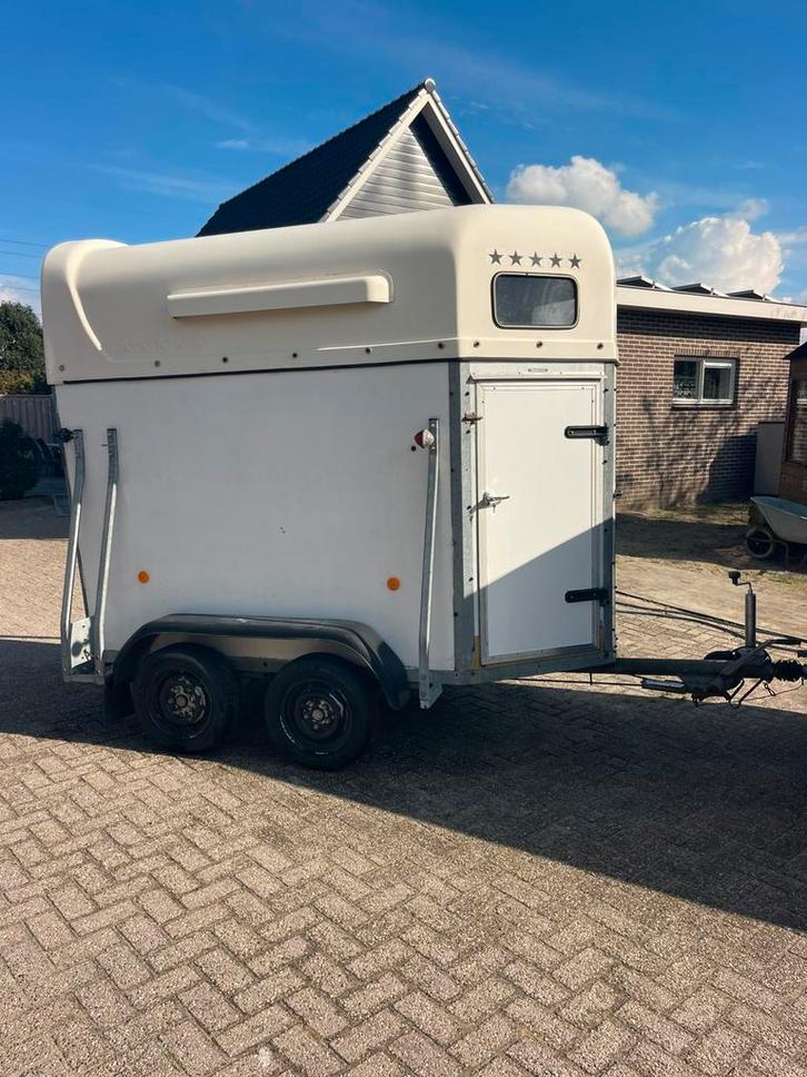 Leuke vijf sterren paarden trailer met kenteken, Dieren en Toebehoren, Paarden en Pony's | Trailers en Aanhangwagens, Gebruikt