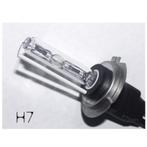 Defecte Xenon lamp: lamp stuk of starter?  Voor al uw xenon, Ophalen of Verzenden, Nieuw, Overige automerken