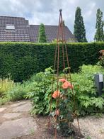 Obelisk, tuinornament, rek voor klimplanten, Ophalen