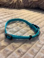 Halsband hond merk Flamingo maat xs nieuw, Ophalen, Nieuw, Hondenriem
