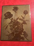 Oude foto kopergravure? Van rozen. Rozen kwekerij Leenders, Natuur, Gebruikt, Verzenden, Foto