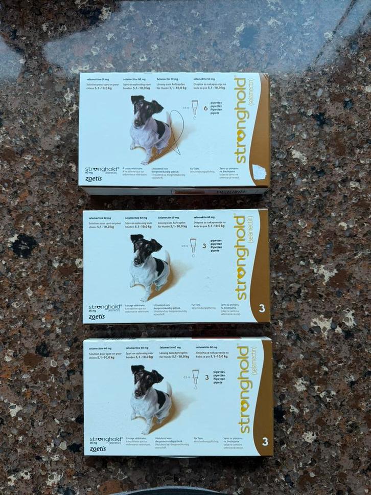 Stronghold pipets voor honden van 5-10 Kg, Dieren en Toebehoren, Honden-accessoires, Nieuw, Ophalen of Verzenden