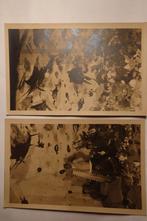 Twee oude ansichtkaarten Arnhem, Molukse zeetuin 1928, Verzamelen, Ansichtkaarten | Nederland, Ophalen of Verzenden, 1920 tot 1940