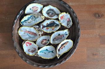 Schelpen decoratie oesters zee vakantie souvenir  beschikbaar voor biedingen