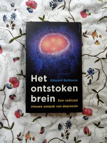 Het ontstoken brein * radicaal nieuwe aanpak van depressie beschikbaar voor biedingen