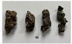 Korting: 4 x grote Meteorite Siberie, 3,8 tot 3 cm, pr.p.st., Verzamelen, Ophalen of Verzenden, Mineraal