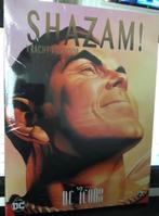 4x Dc icons shazam batman superman d8, Boeken, Stripboeken, Ophalen of Verzenden, Meerdere stripboeken