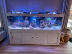Leeg zeeaquarium 2,5x80x60 Moet dit weekend weg!! !, Ophalen, Leeg aquarium