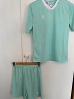 Adidas setje, Maat L, Ophalen of Verzenden, Zo goed als nieuw, Set