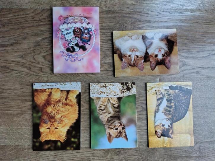Vintage katten kaarten 5 stuks voor 1€, Verzamelen, Ansichtkaarten | Dieren, Ongelopen, 1980 tot heden, Hond of Kat, Ophalen of Verzenden