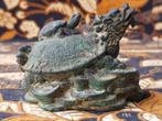 Draak schildpad met geld mooi antiek Chinees brons beeldje., Ophalen of Verzenden
