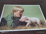FOTO WIJNDEL JONGENS .KLEIN MENNEKE MET UN  KLEIN KUUSKE ., Ophalen of Verzenden, Voor 1940, Gebruikt