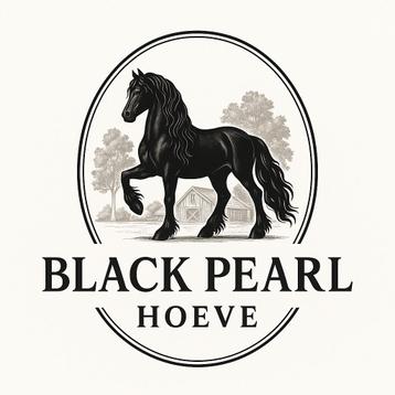 Pensionstalling Black Pearl Hoeve beschikbaar voor biedingen