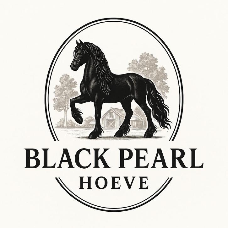 Pensionstalling Black Pearl Hoeve, Dieren en Toebehoren, Stalling en Weidegang, Opfok, Stalling, Weidegang, Toebehoren, 4 paarden of pony's of meer