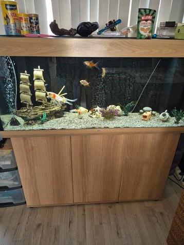 Compete aquarium te koop beschikbaar voor biedingen