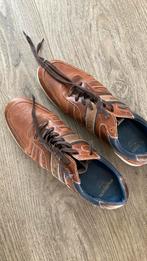 McGregor schoenen, Ophalen of Verzenden, Gedragen, Bruin