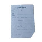 WWII German Fuhrershein Rijbewijs, Verzamelen, Militaria | Tweede Wereldoorlog, Ophalen of Verzenden, Amerika, Embleem of Badge