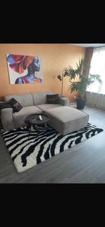 Zebra vloerkleed, Huis en Inrichting, Ophalen, Gebruikt, 150 tot 200 cm, 200 cm of meer