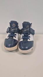 Nike Zoom LeBron Schoenen, Jongetje of Meisje, Ophalen of Verzenden, Nike, Gebruikt