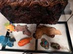 Compleet aquarium 60 liter, Dieren en Toebehoren, Vissen | Aquaria en Toebehoren, Ophalen, Zo goed als nieuw, Sierelement