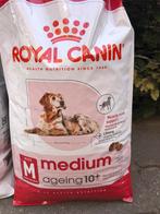 Royal canin ageing senior medium ras, Dieren en Toebehoren, Ophalen, Hond
