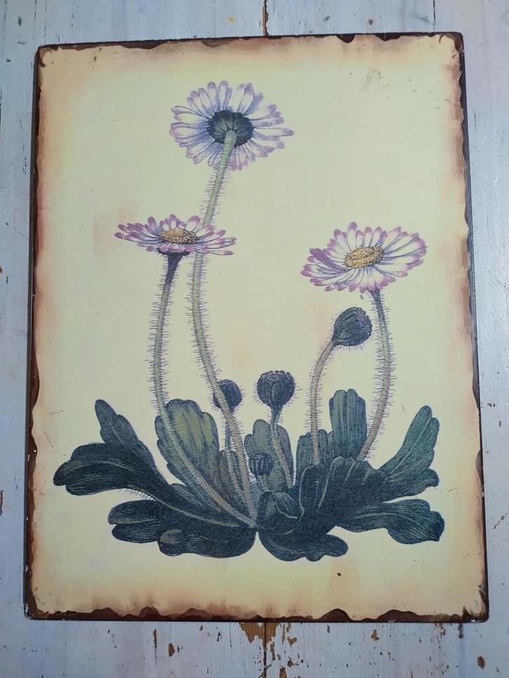 Vintage metalen plaat met bloemen, Antiek en Kunst, Antiek | Wandborden en Tegels, Ophalen of Verzenden