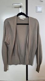 Vest Sissy Boy 100% katoen, Kleding | Dames, Ophalen of Verzenden, Zo goed als nieuw, Maat 38/40 (M), Overige kleuren