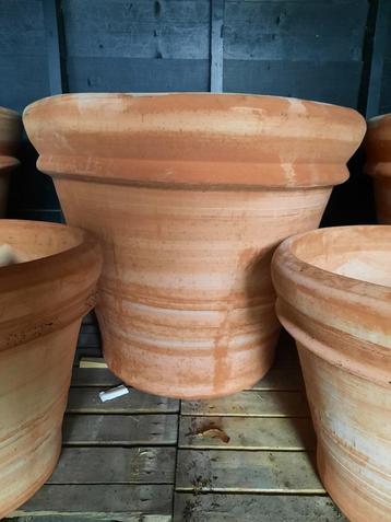grote terracotta pot met dubbele rand XL beschikbaar voor biedingen