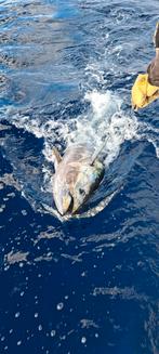 Used big game fishing equipement, reels ,rots and others, Watersport en Boten, Hengelsport | Zeevissen, Ophalen of Verzenden, Gebruikt