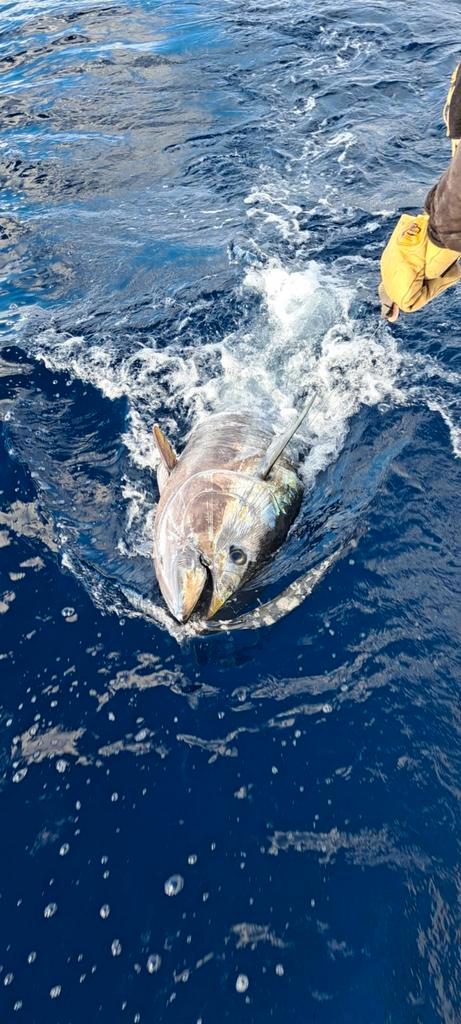 Used big game fishing equipement, reels ,rots and others, Watersport en Boten, Hengelsport | Zeevissen, Gebruikt, Complete set