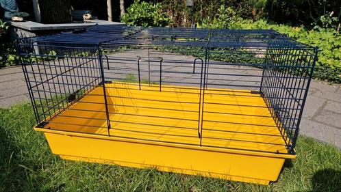 Konijnenkooi, cavia kooi, Dieren en Toebehoren, Knaagdieren en Konijnen | Hokken en Kooien, Gebruikt, Kooi, Minder dan 60 cm, 75 tot 110 cm