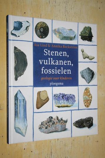 Stenen Vulkanen Fossielen Geologie Voor Kinderen fossiel beschikbaar voor biedingen
