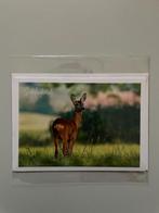 Kaart gefeliciteerd 8, Hobby en Vrije tijd, Kaarten | Zelfgemaakt, Ophalen of Verzenden, Nieuw, Man of Vrouw