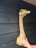 Leuke Wand Struisvogel Decoratie, Ophalen, Zo goed als nieuw