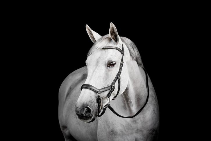 Rambo Micklem 2 Diamante Competition, Pony,Cob, Full, X-Full, Dieren en Toebehoren, Paarden en Pony's | Hoofdstellen en Tuigage
