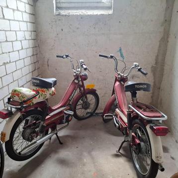 Gezocht Tomos brommer bromfiets oldtimer TL A35 Quadro 4L beschikbaar voor biedingen