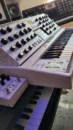 Moog voyager lunar impact white edition, Muziek en Instrumenten, Synthesizers, Overige aantallen, Zo goed als nieuw, Met midi-aansluiting
